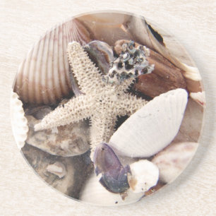 Muscheln Getränkeuntersetzer