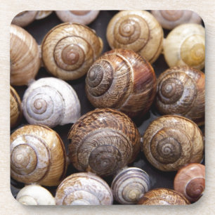 Muscheln Getränkeuntersetzer