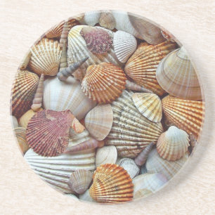Muscheln Getränkeuntersetzer