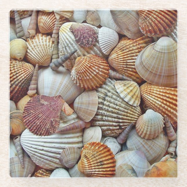Muscheln Glasuntersetzer (Vorderseite)