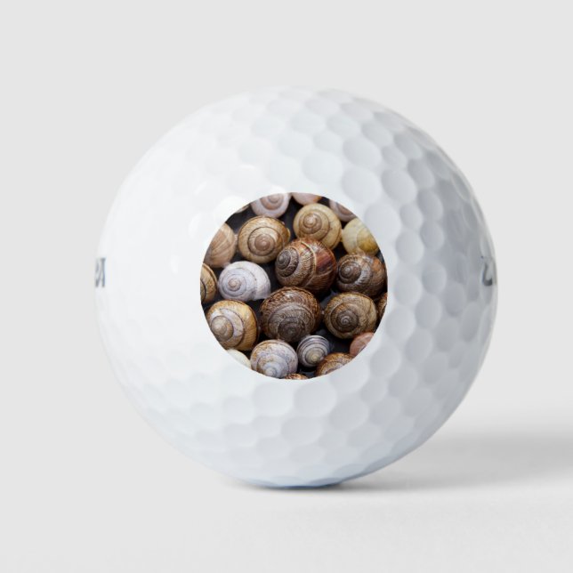 Muscheln Golfball (Vorderseite)