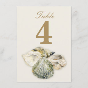 Muscheln Hochzeit Tischnummern