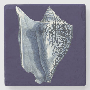MUSCHELN I STEINUNTERSETZER