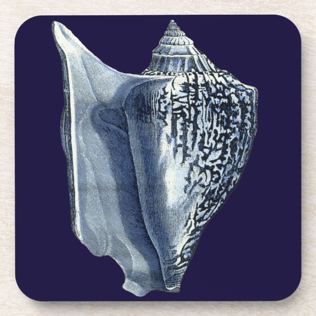 MUSCHELN I UNTERSETZER (Vorderseite)