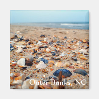 Muscheln im Beach Magnet