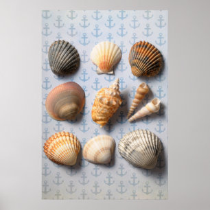 Muscheln im Hintergrund Poster