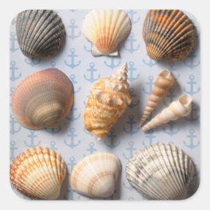 Muscheln im Hintergrund Quadratischer Aufkleber