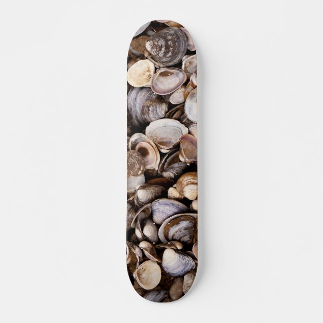 Muscheln im Mud Skateboard (Vorne)