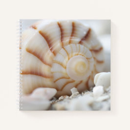 Muscheln im SandNotebook Notizbuch