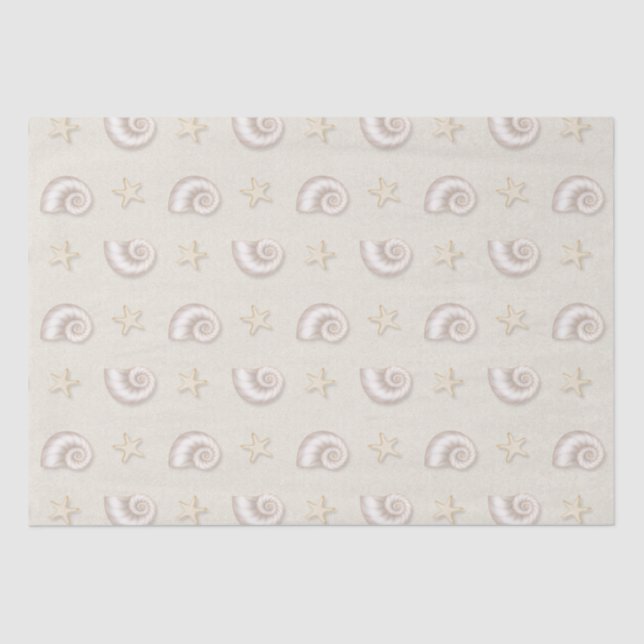 Muscheln im Sandpapier Seidenpapier (Vorderseite)