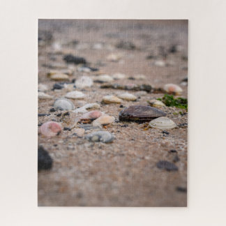 Muscheln im Strandpuzzle