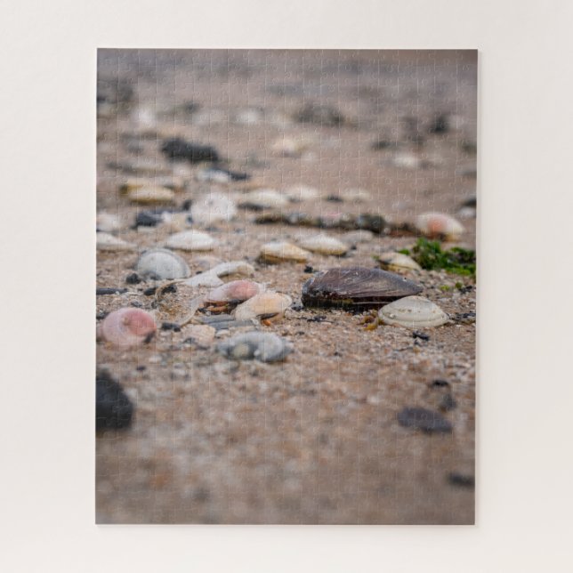 Muscheln im Strandpuzzle (Vertikal)