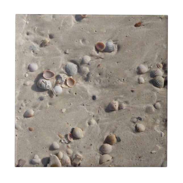 Muscheln im Westen Fliese (Vorderseite)