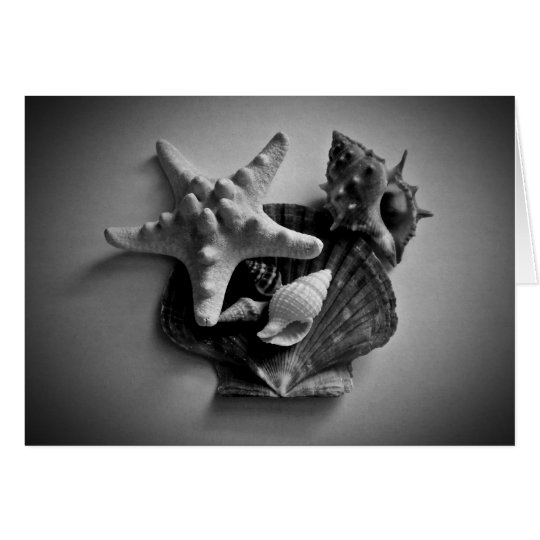 Muscheln in der leeren Schwarzweiss-Karte für Karte