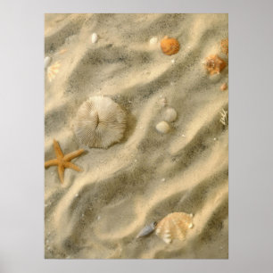 Muscheln in Sand Poster