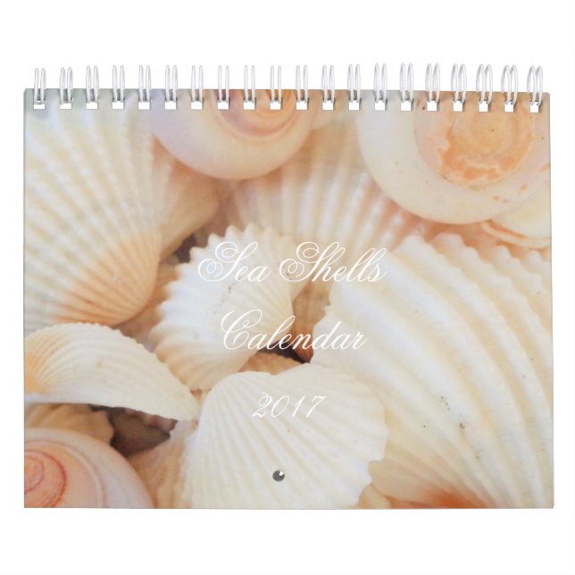 Muscheln Kalender 2017 Exotische tropische Romanti (Titelbild)