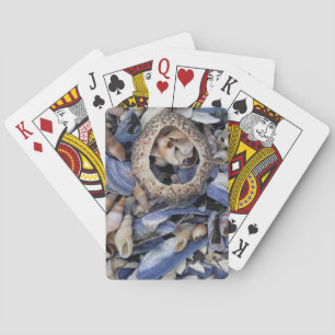 Muscheln, Kapstadt, Westkap Spielkarten