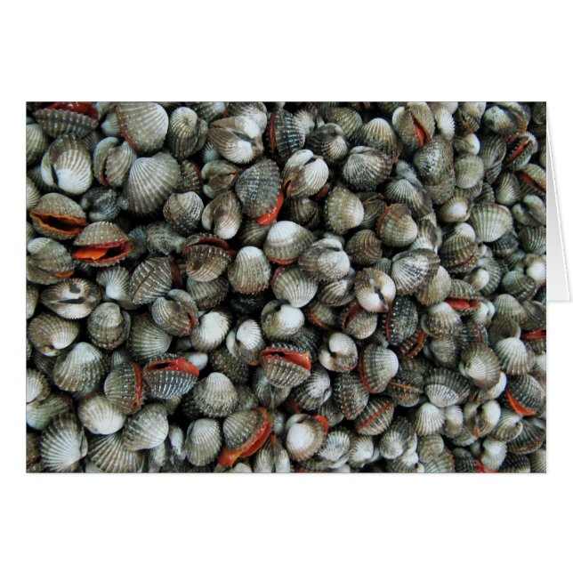 Muscheln-Karte des Blutcockles (Vorderseite (Horizontal))