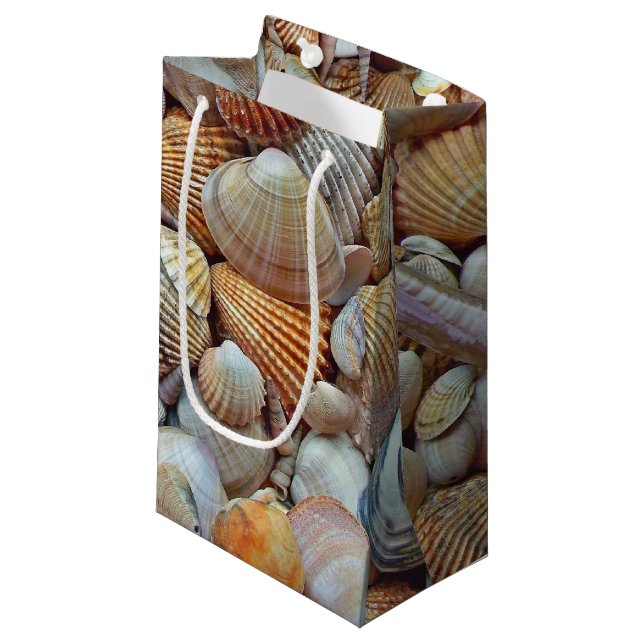 Muscheln Kleine Geschenktüte (Vorderseite Schrägansicht)