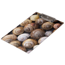 Muscheln Klemmbrett