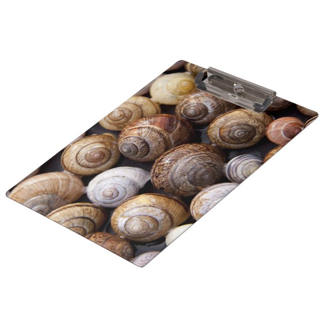 Muscheln Klemmbrett (Schrägansicht)