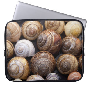 Muscheln Laptopschutzhülle