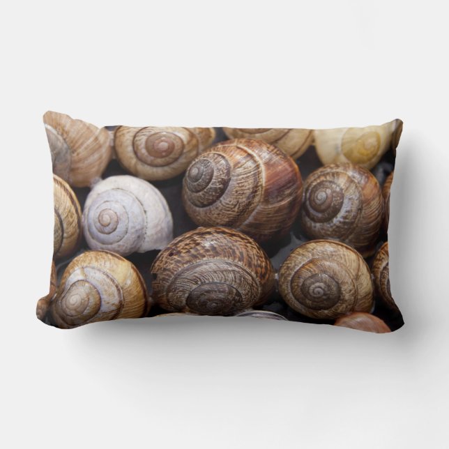 Muscheln Lendenkissen (Vorderseite)