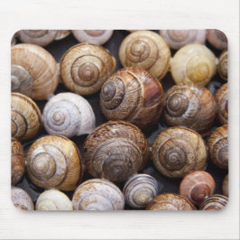 Muscheln Mousepad