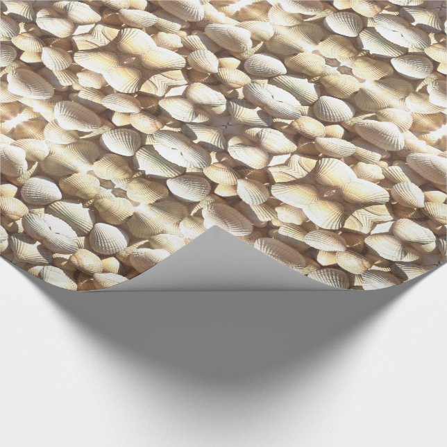 Muscheln Muster Sommernatürliche Farbtöne von Brau Geschenkpapier (Ecke)