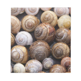 Muscheln Notizblock