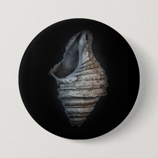 Muscheln Nr. 6 Farbversion Button (Vorderseite)