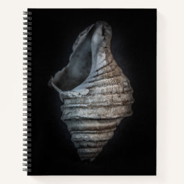 Muscheln Nr. 6 Farbversion Notizbuch