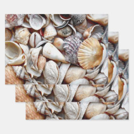 Muscheln Ocean Beach Schöne Dekoration Geschenkpapier Set