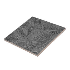Muscheln Ocean Beach Silver Elegantes Wassersportz Fliese