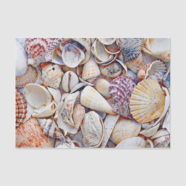 Muscheln Ocean Beach Wasserfarbendekoute Seidenpapier (Vorderseite)