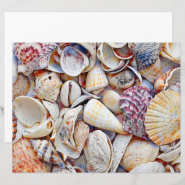 Muscheln Ocean Beach Wasserfarbendekoutierung