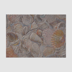 Muscheln Ozean Strand Gold Silber Elegant Seidenpapier