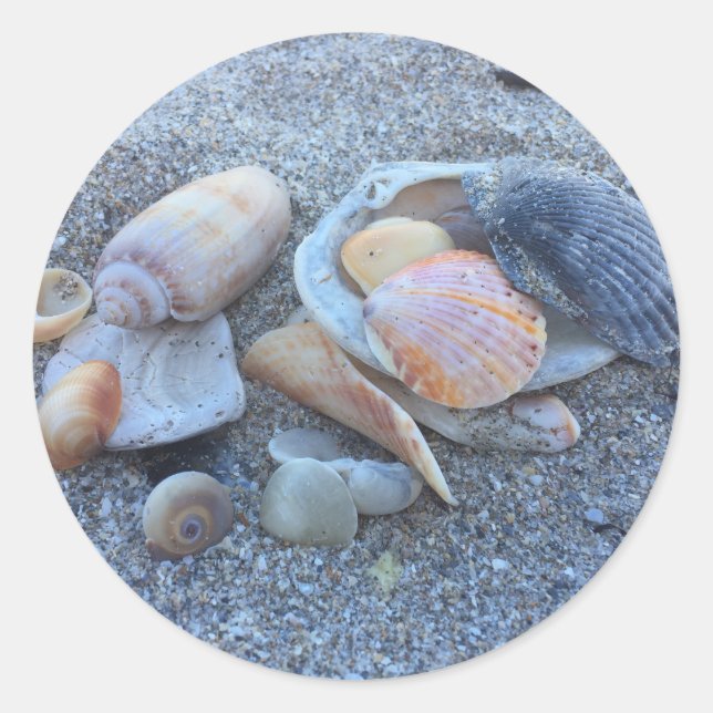 Muscheln Paradise Beach Runder Aufkleber (Vorderseite)