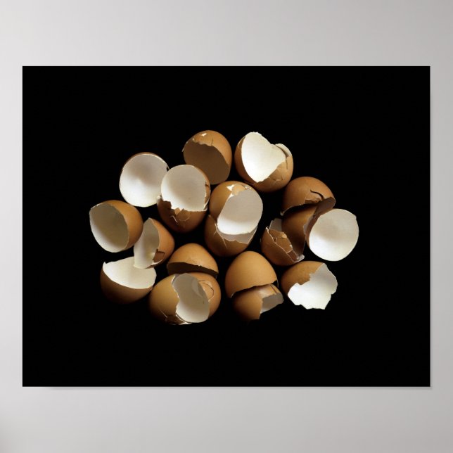 Muscheln Poster (Vorne)