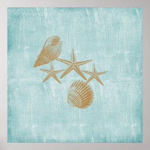 Muscheln Poster
