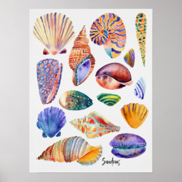 Muscheln Poster