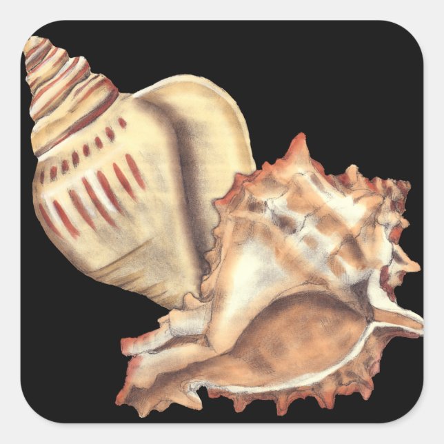 Muscheln Quadratischer Aufkleber (Vorderseite)