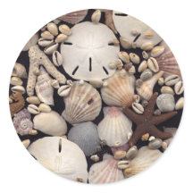 Muscheln