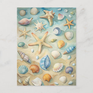 Muscheln Seestern Küste Strand Nautical Kunst Postkarte