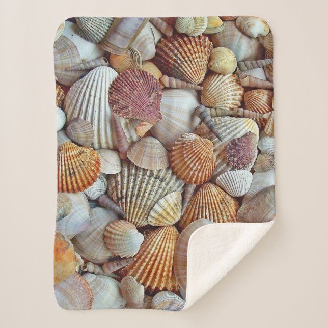 Muscheln Sherpadecke (Vorderseite)