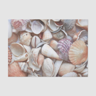 Muscheln Skizze Ozean Nautische Strand Dekoration Seidenpapier
