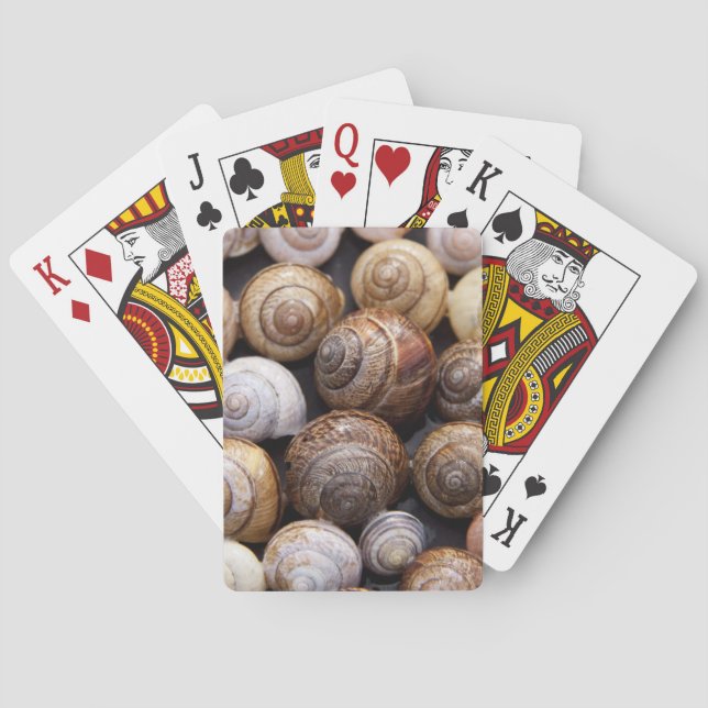 Muscheln Spielkarten (Rückseite)