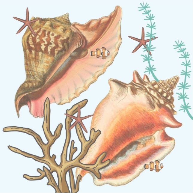 Muscheln Starfish Gras, Vinyl Stickers Aufkleber (Vorderseite)