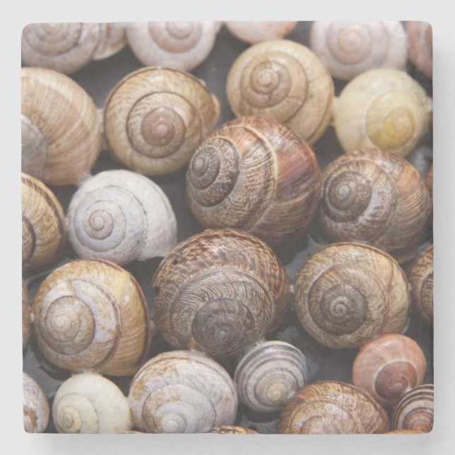 Muscheln Steinuntersetzer (Vorderseite)