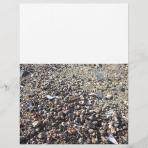 Muscheln Strand Ozean Boarder Buch der Schattensei Flyer